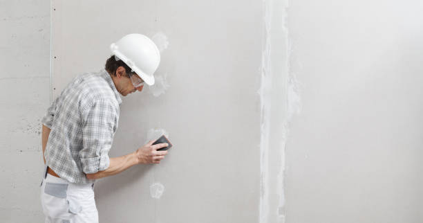 Best Mold Odor Removal Services  in Bristow, OK
