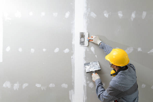 Best Commercial Mold Inspection  in Bristow, OK