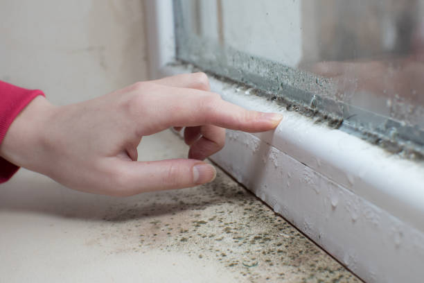 Mold Remediation for Rental Properties in Bristow, OK