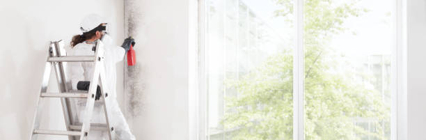 Best Mold Documentation for Insurance Claims  in Bristow, OK