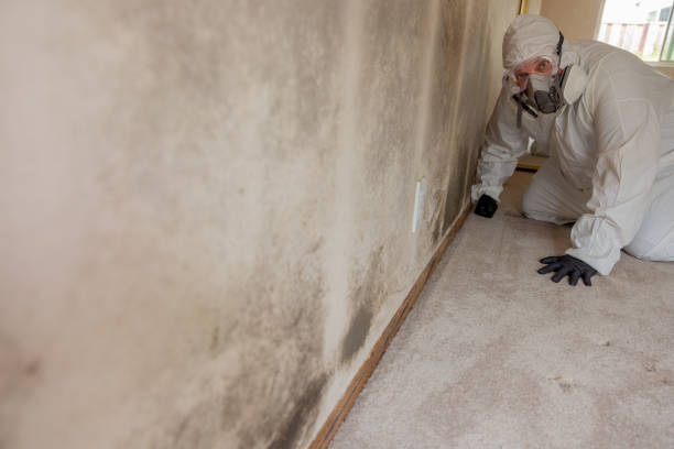 Best Crawl Space Mold Remediation  in Bristow, OK